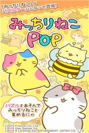 萌猫POP最新游戏下载-萌猫POP安卓版下载